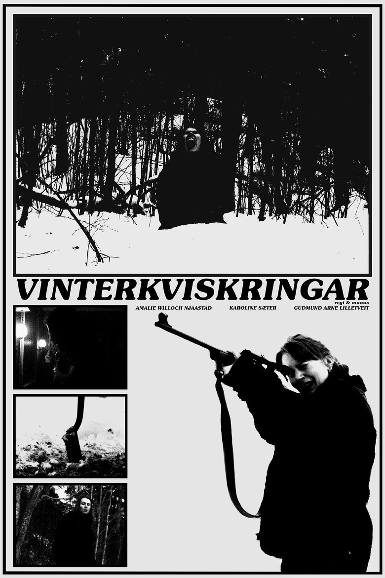 Vinterkviskringar poster background