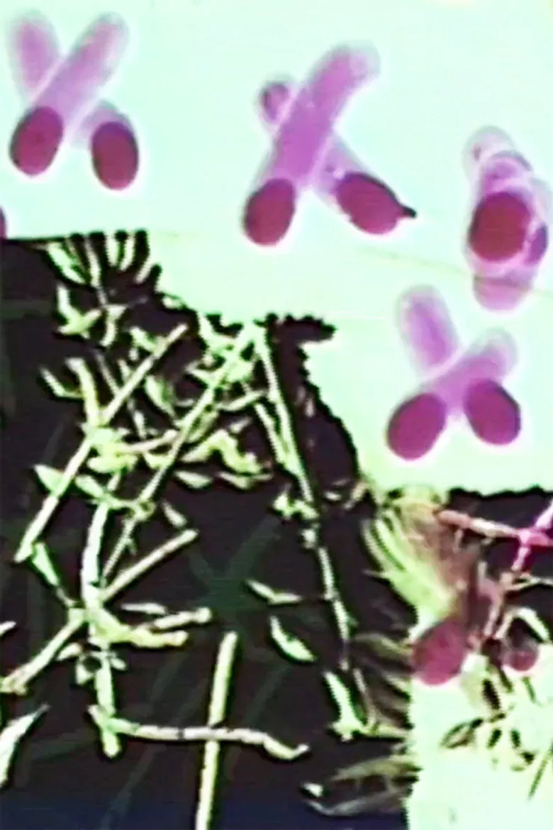 Frottage/Dommage/Fromage 2 Vous poster background