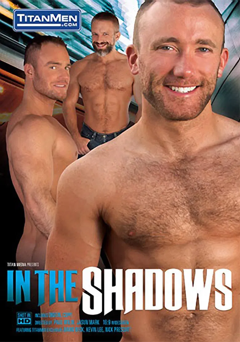 In the Shadows poster background