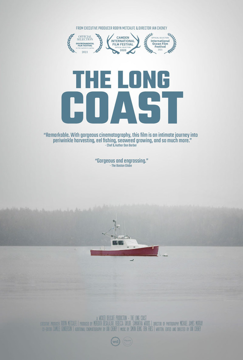 The Long Coast poster background