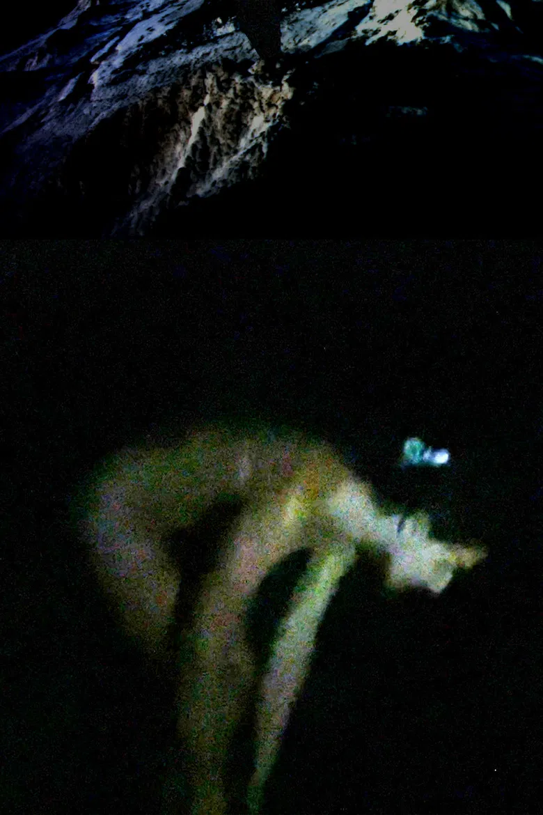 Cowpoke poster background