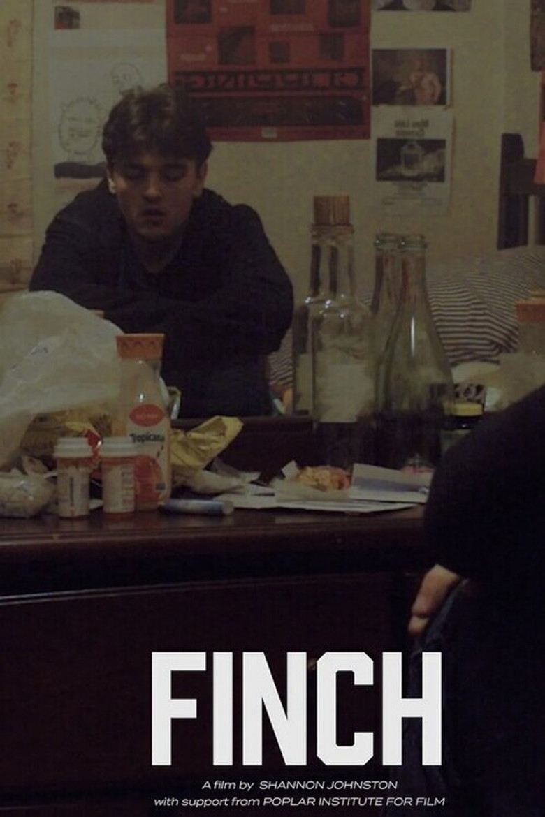 Finch poster background