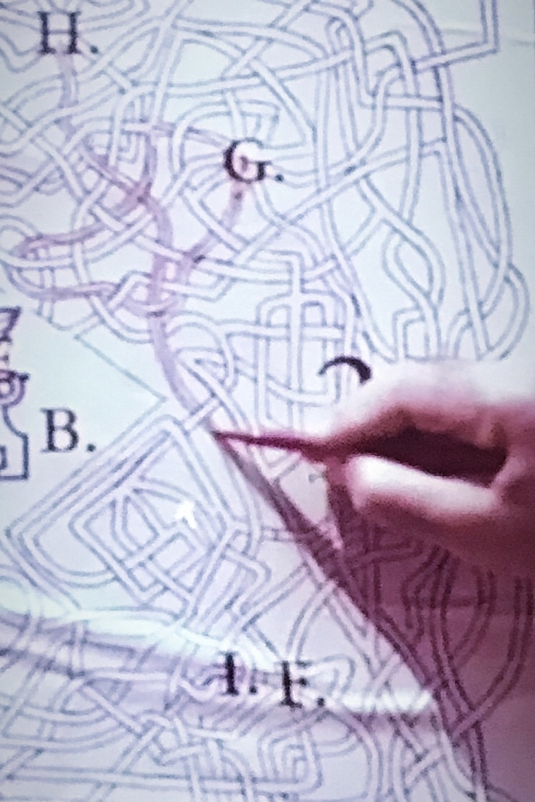 The Pink Biennal poster background