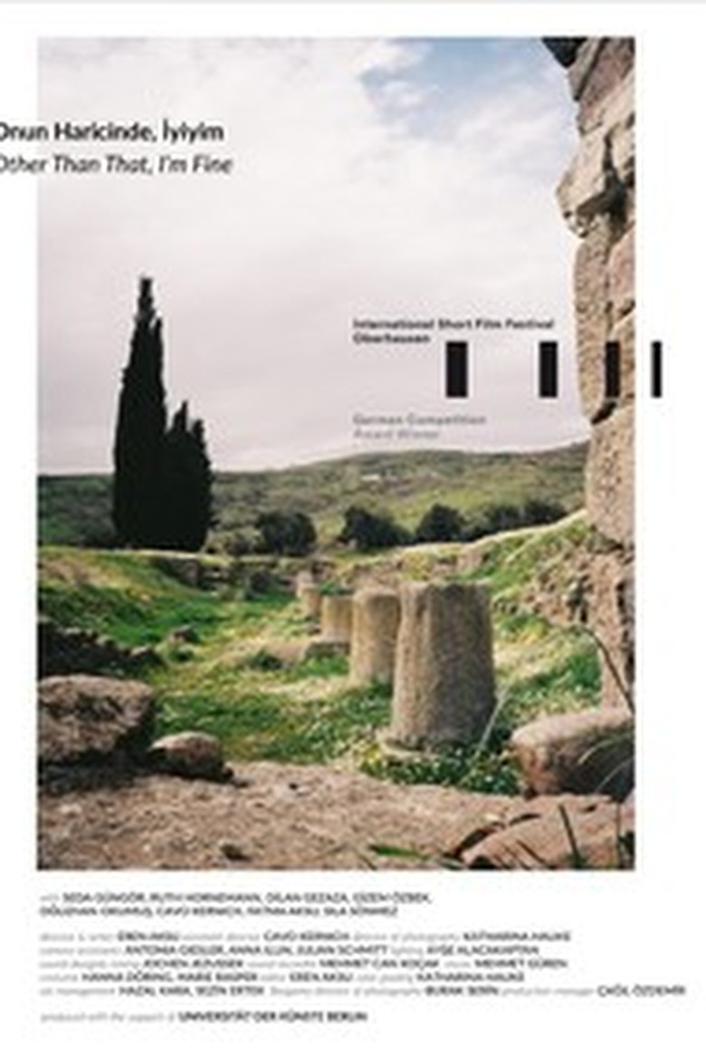 Other Than That, I'm Fine poster background