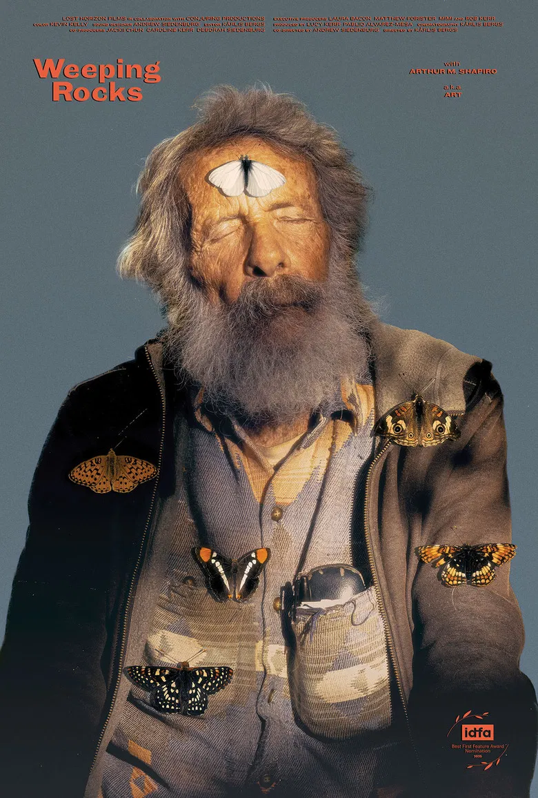 Weeping Rocks poster background