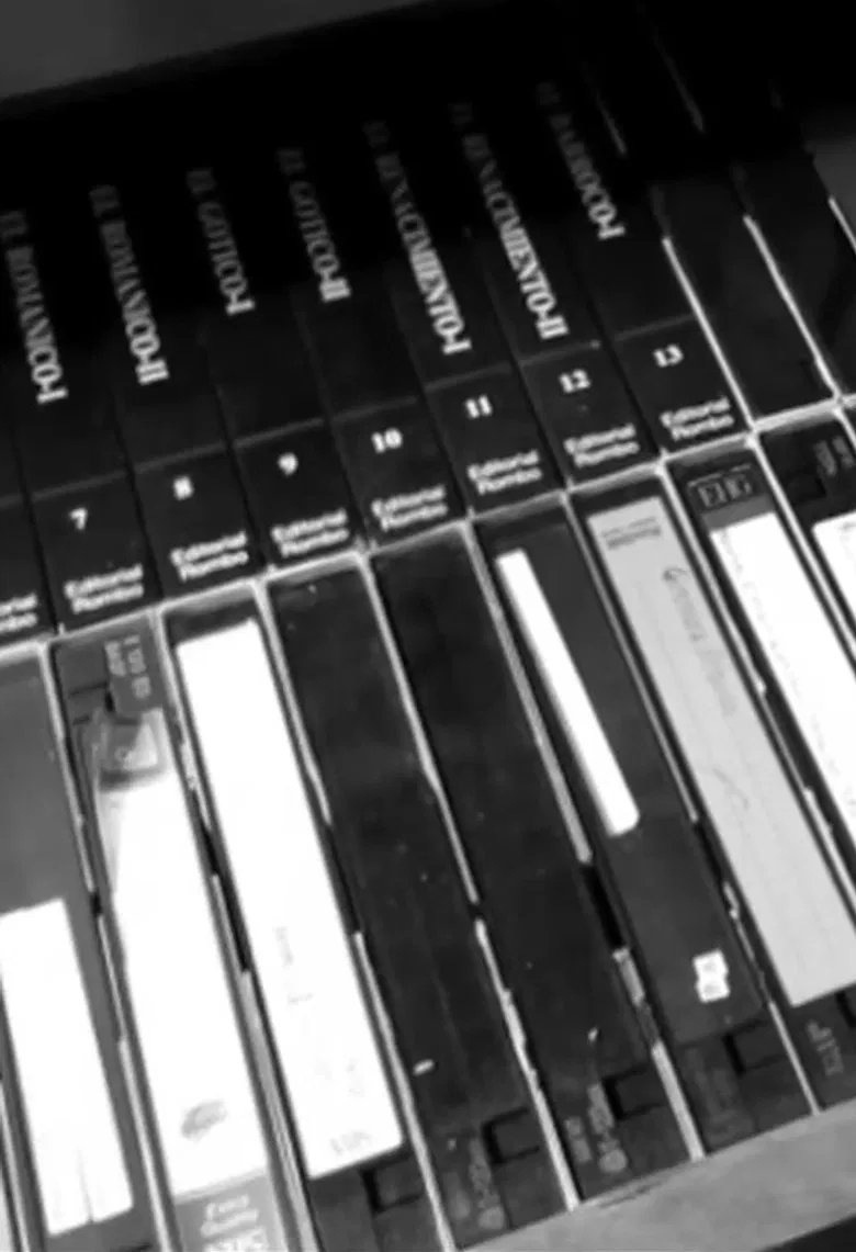 The Loses poster background