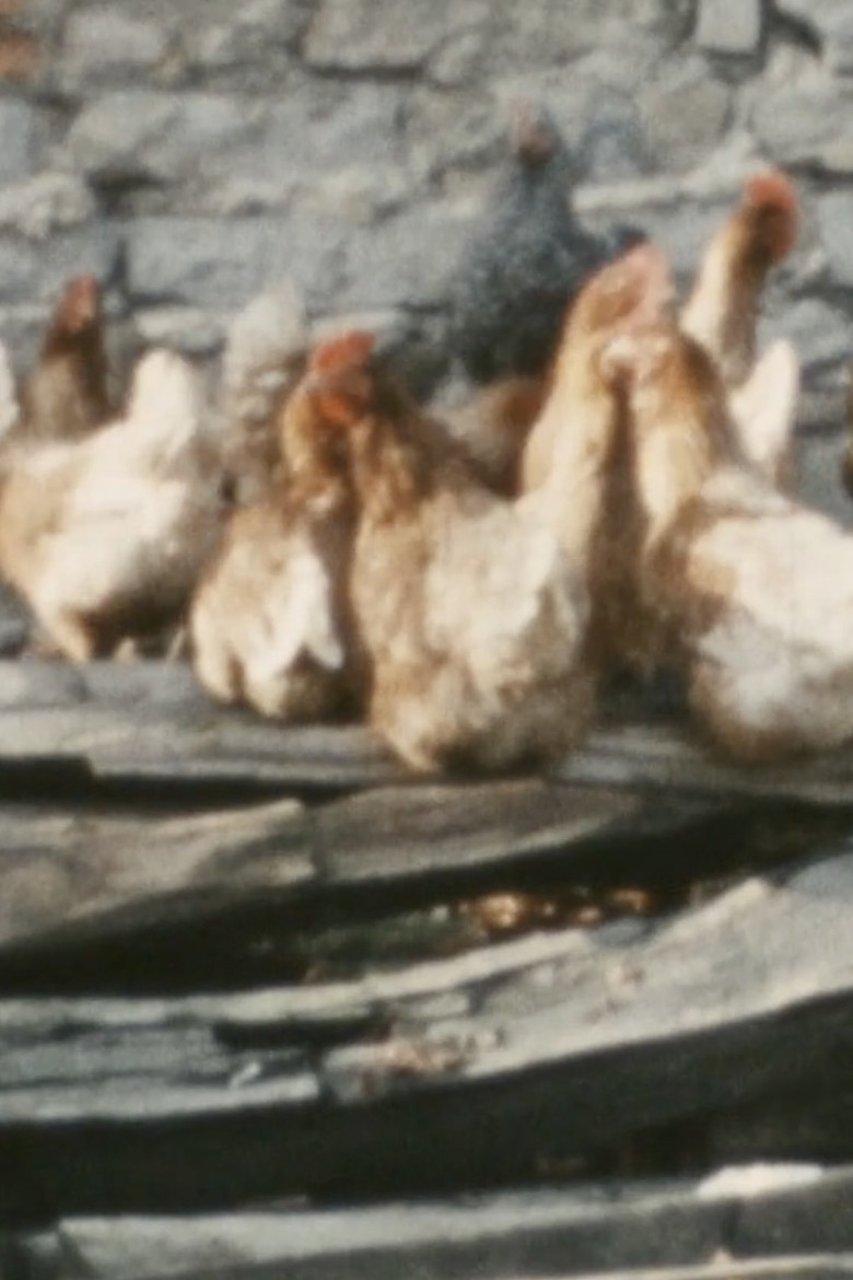 Oh Tod, wie nahrhaft bist Du poster background