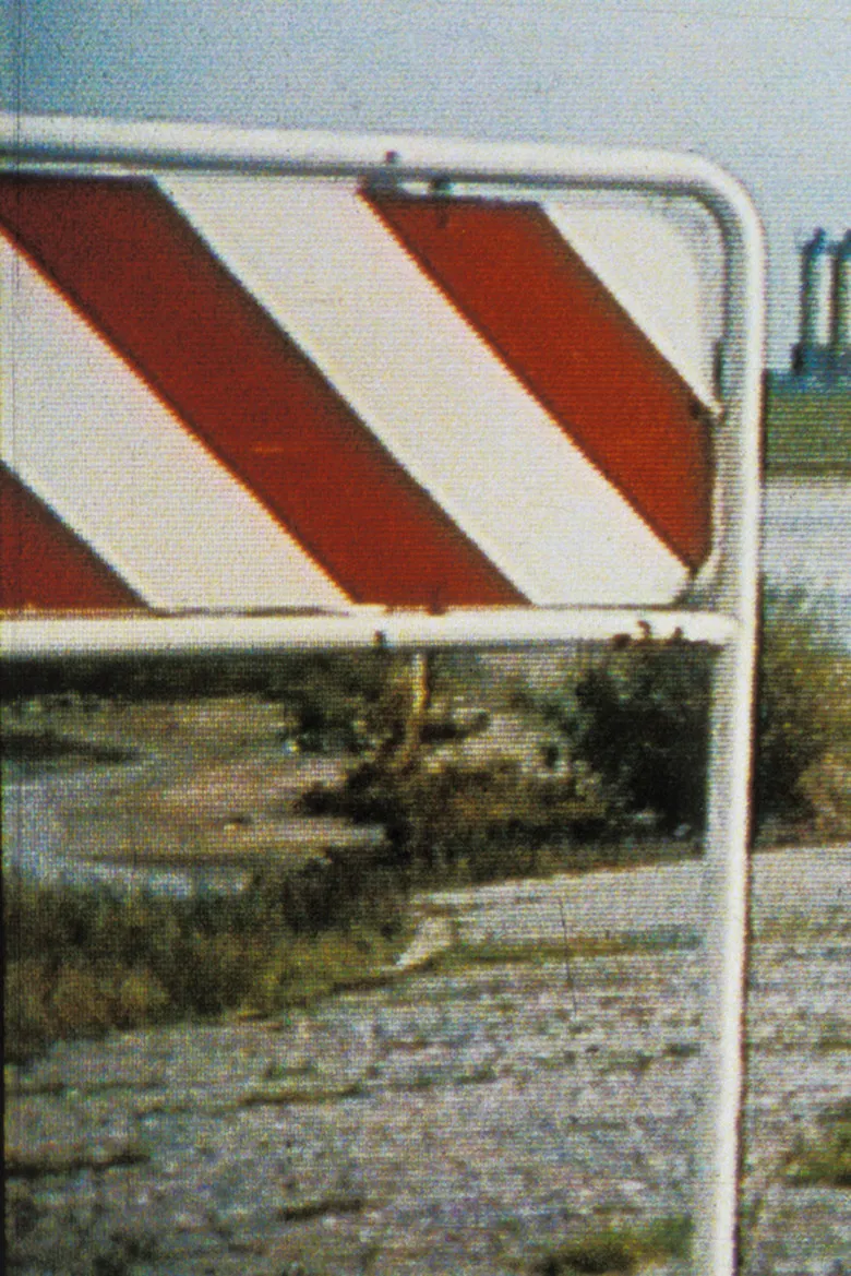 Hunter poster background