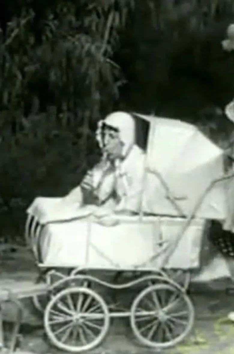 The Two Foxes poster background