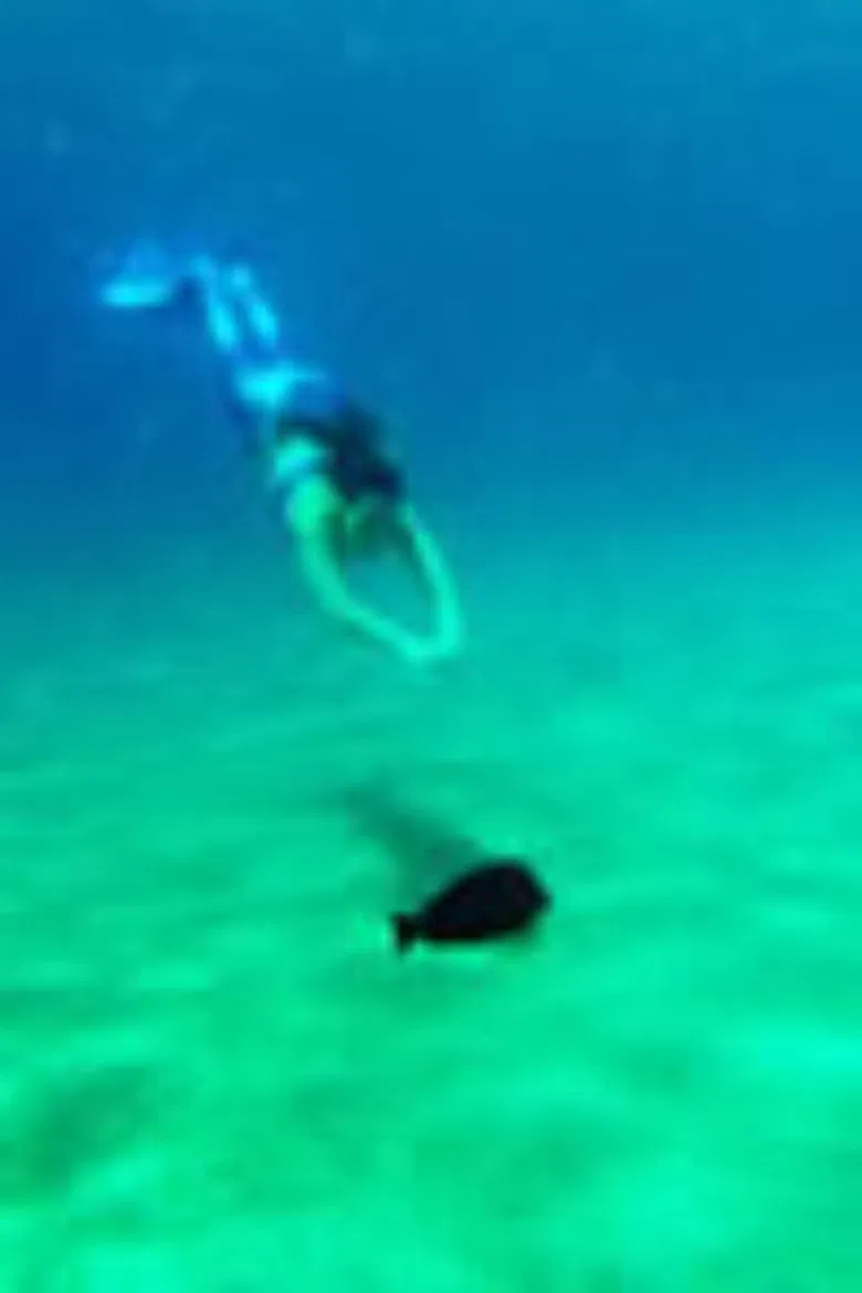 DER SCHWIMMER UND DIE MEERJUNGFRAU poster background