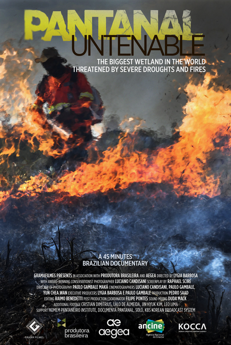 Untenable Pantanal poster background