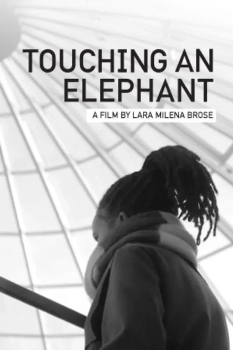 Touching An Elephant poster background
