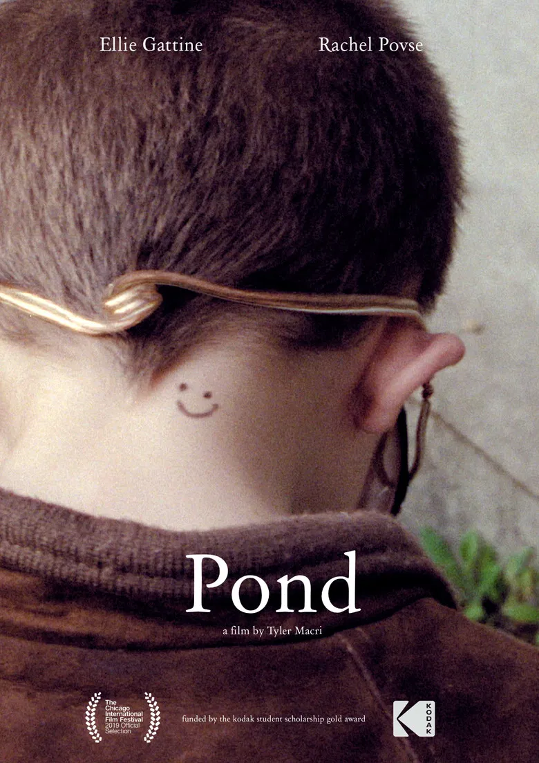 Pond poster background