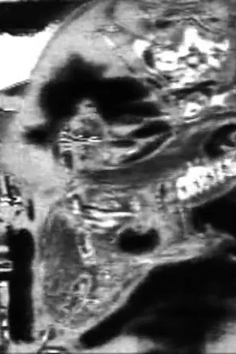 Ensemble #2 poster background