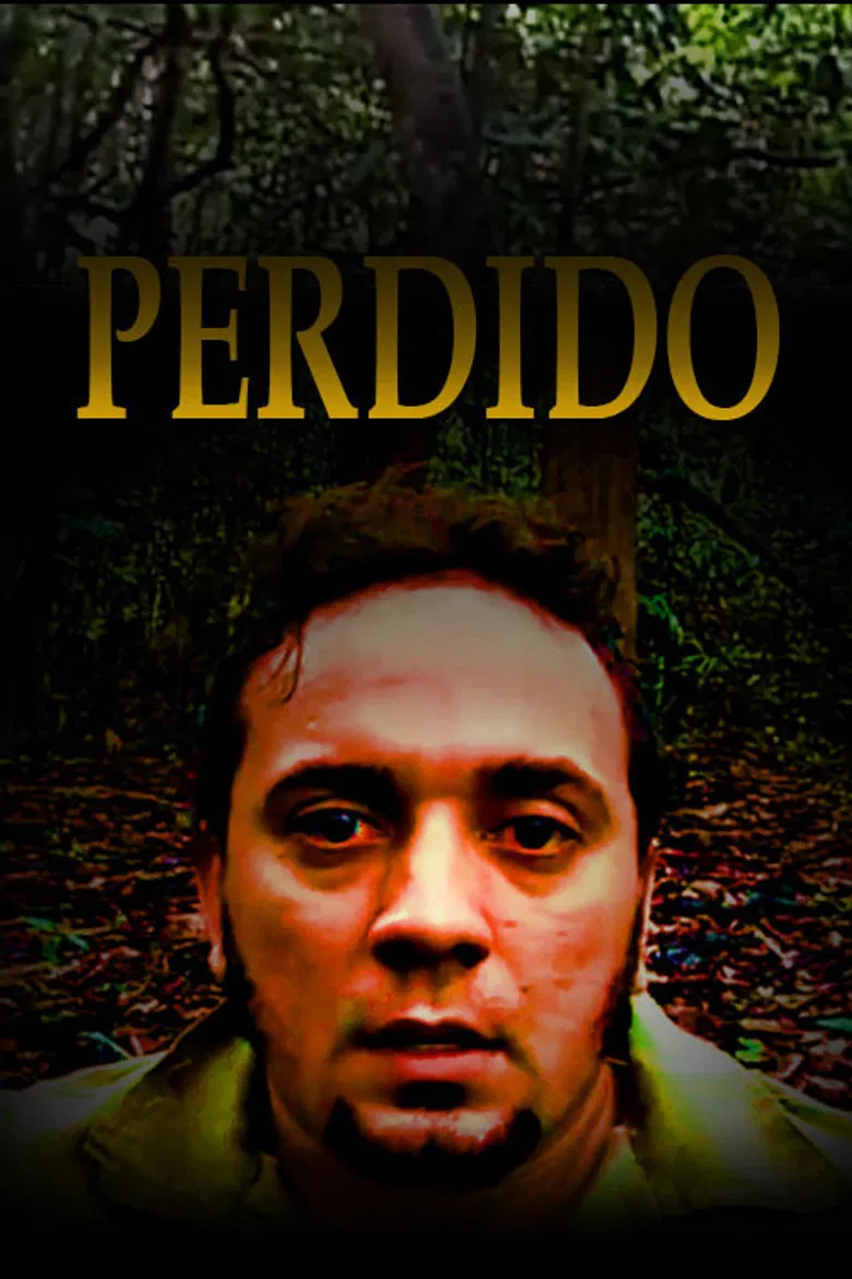 Perdido poster background