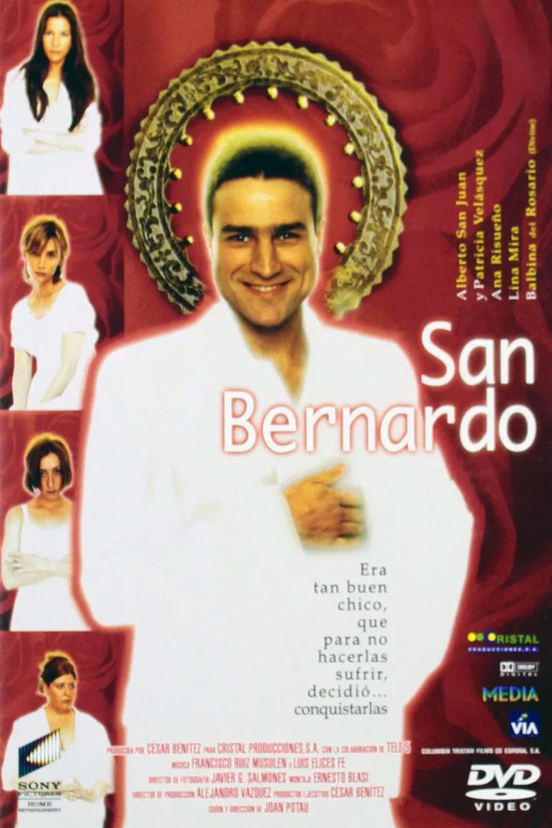 San Bernardo poster background
