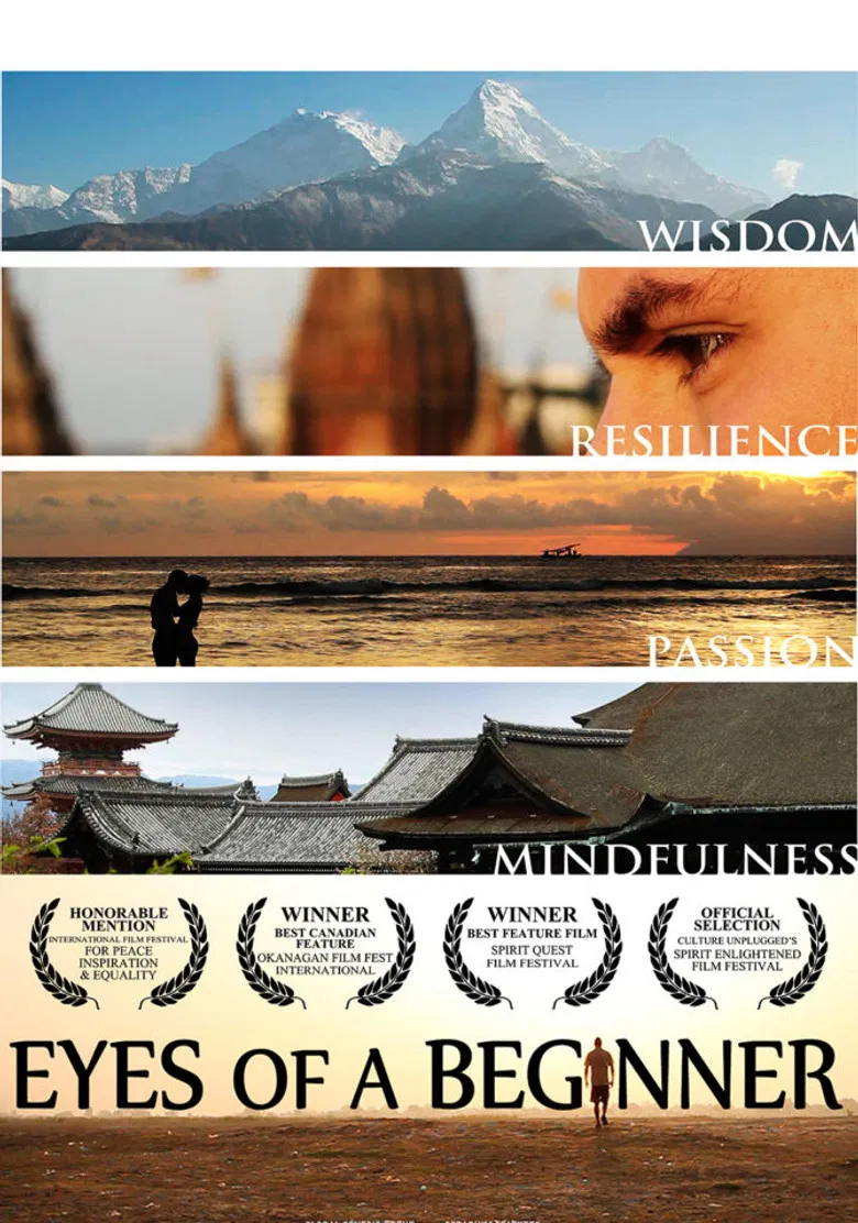 Eyes of a Beginner poster background