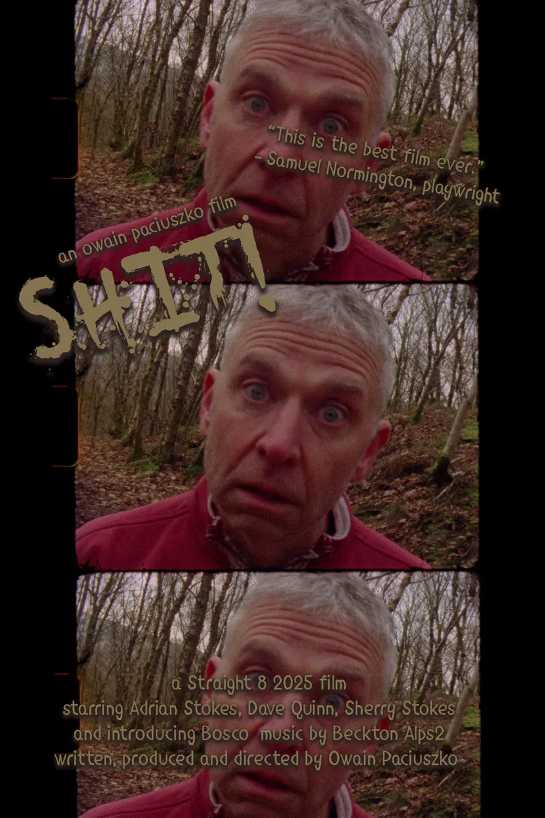 Shit! poster background