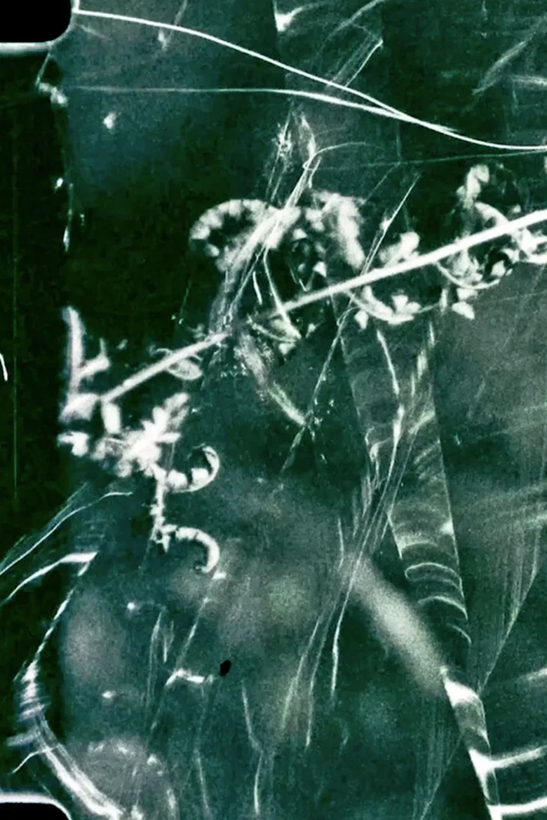 To Live and Die in the Shadows: Ferns, Survival and Horizontal Gene Transfer poster background