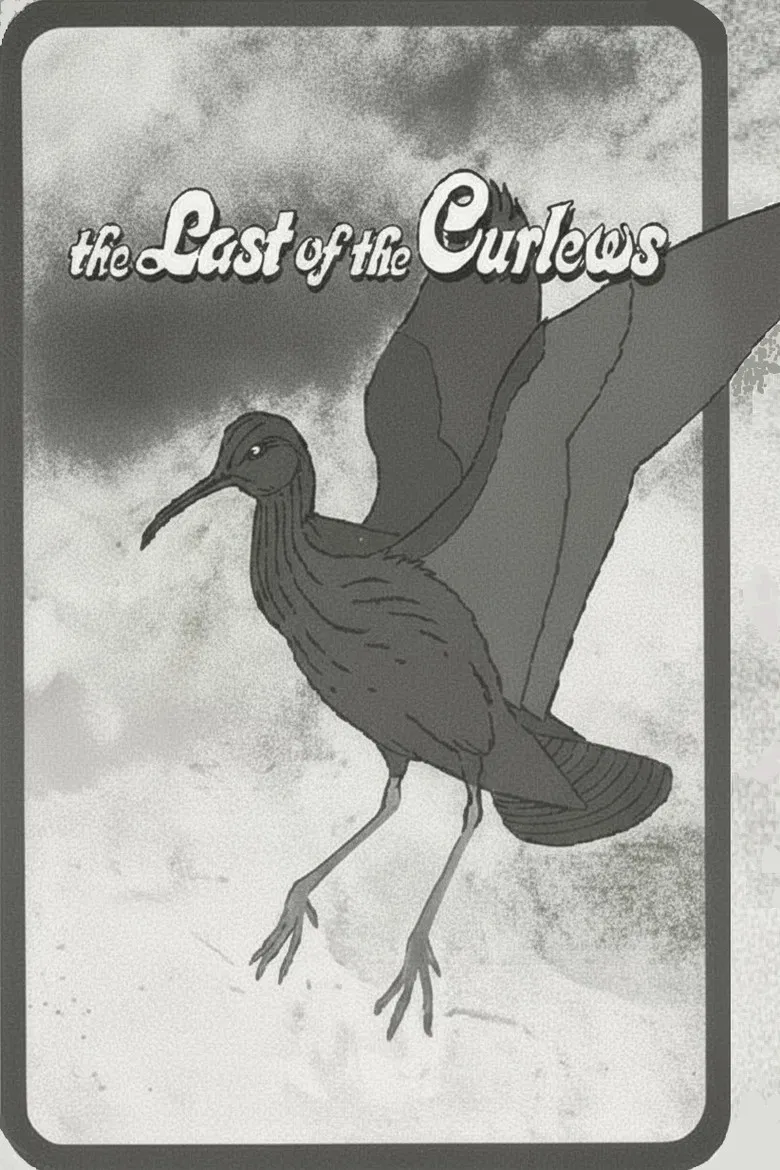 The Last of the Curlews poster background