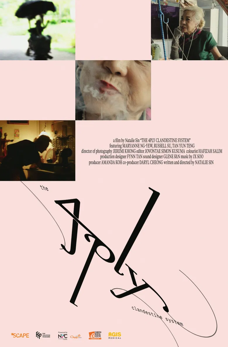 The 4PLY Clandestine System poster background