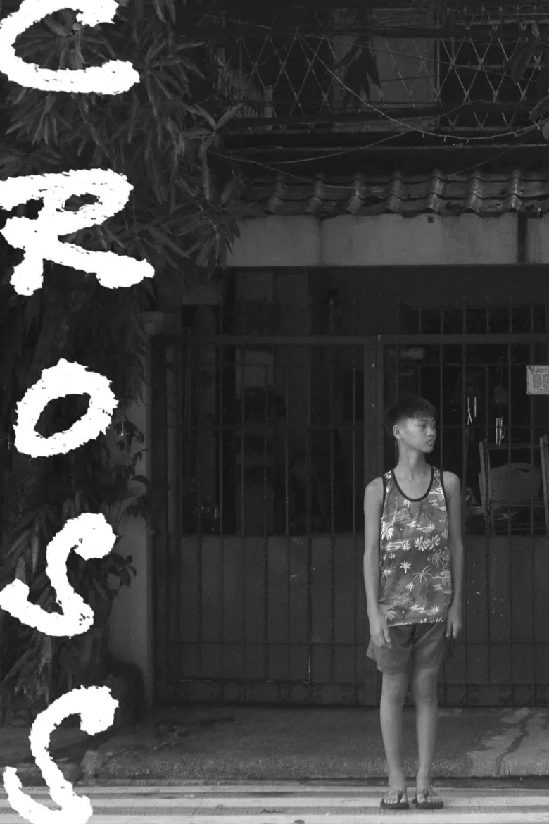 CROSS poster background