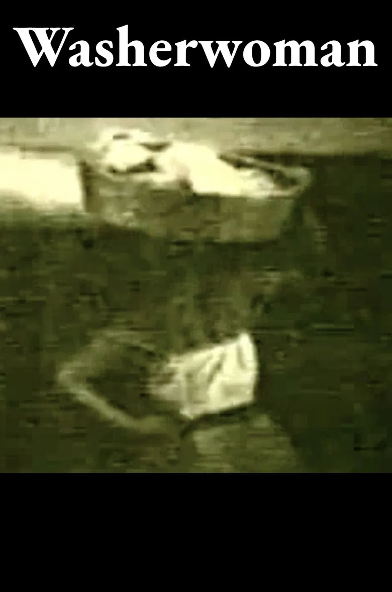 Washerwoman poster background