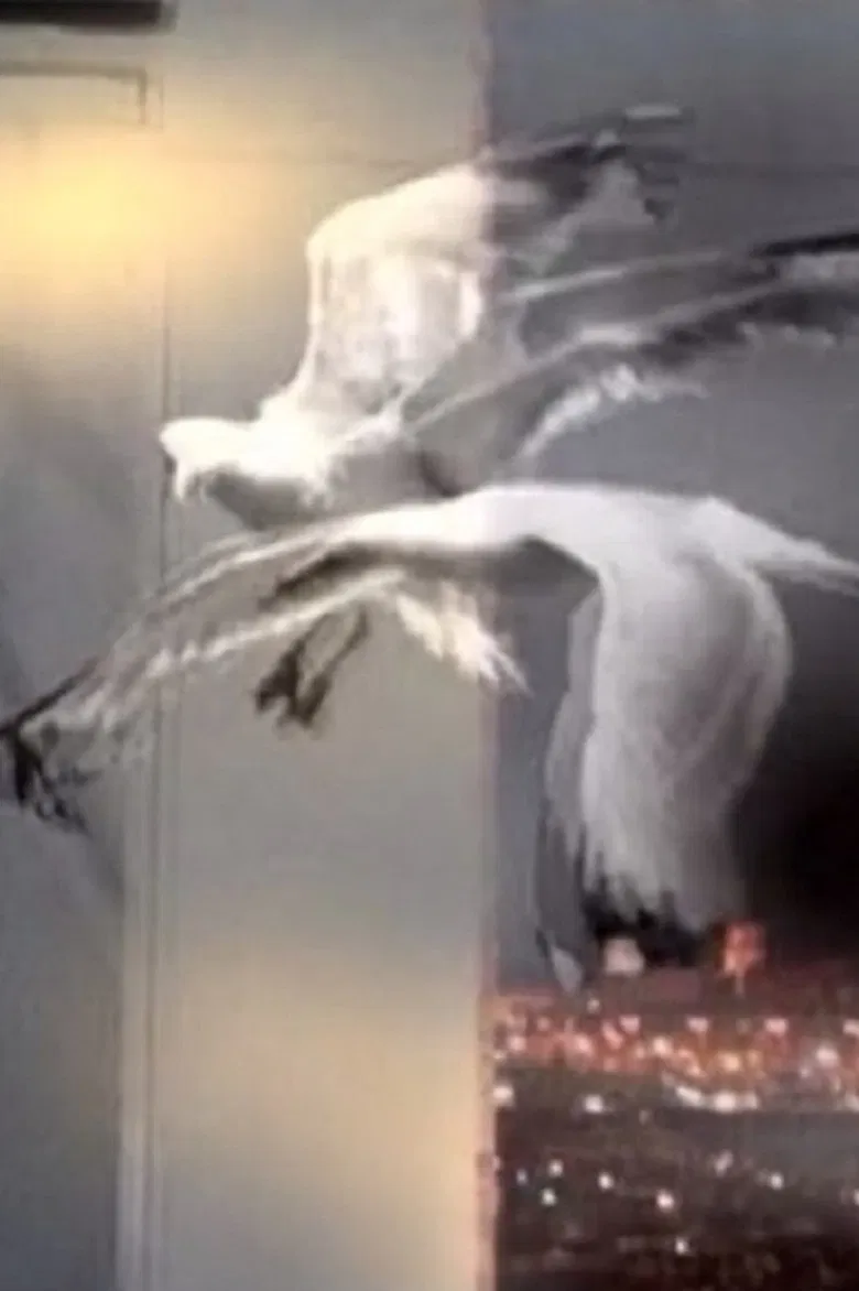 Entrer Dans Le Rêve poster background