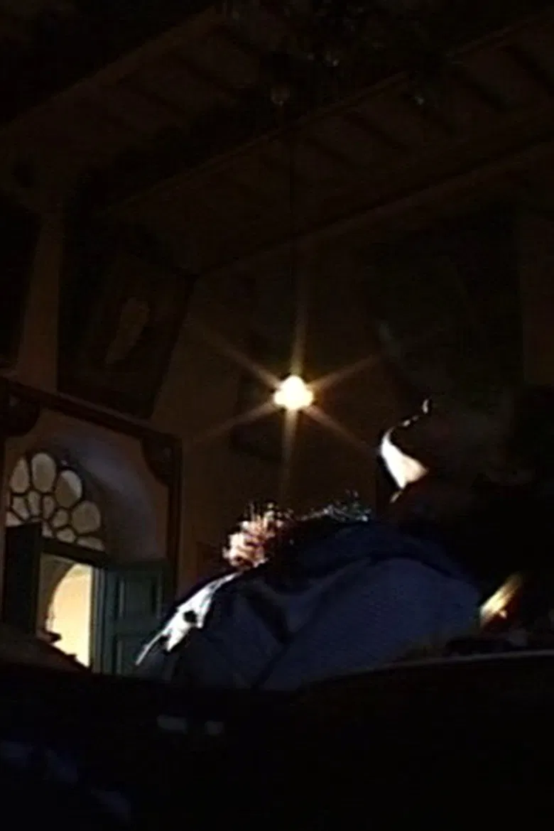 Palace of the Winds poster background