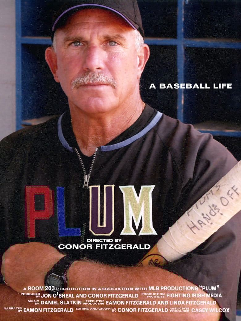 PLUM: A Baseball Life poster background