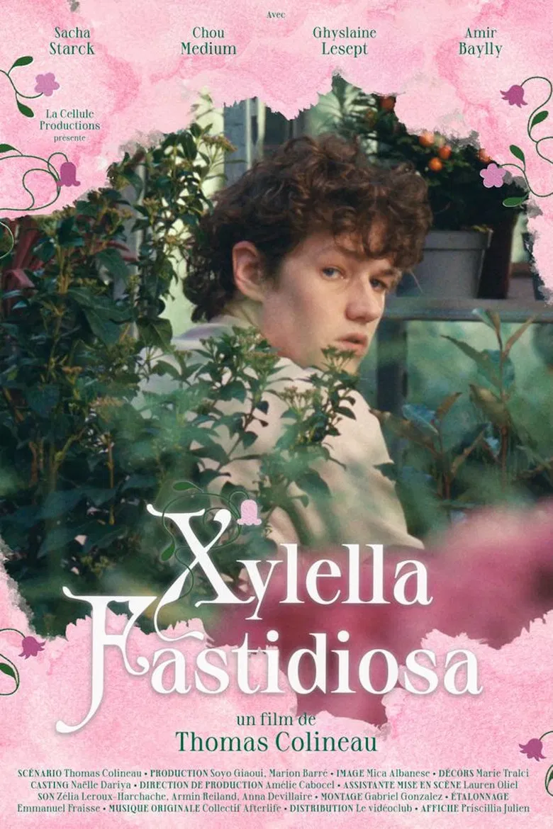 Xylella Fastidiosa poster background