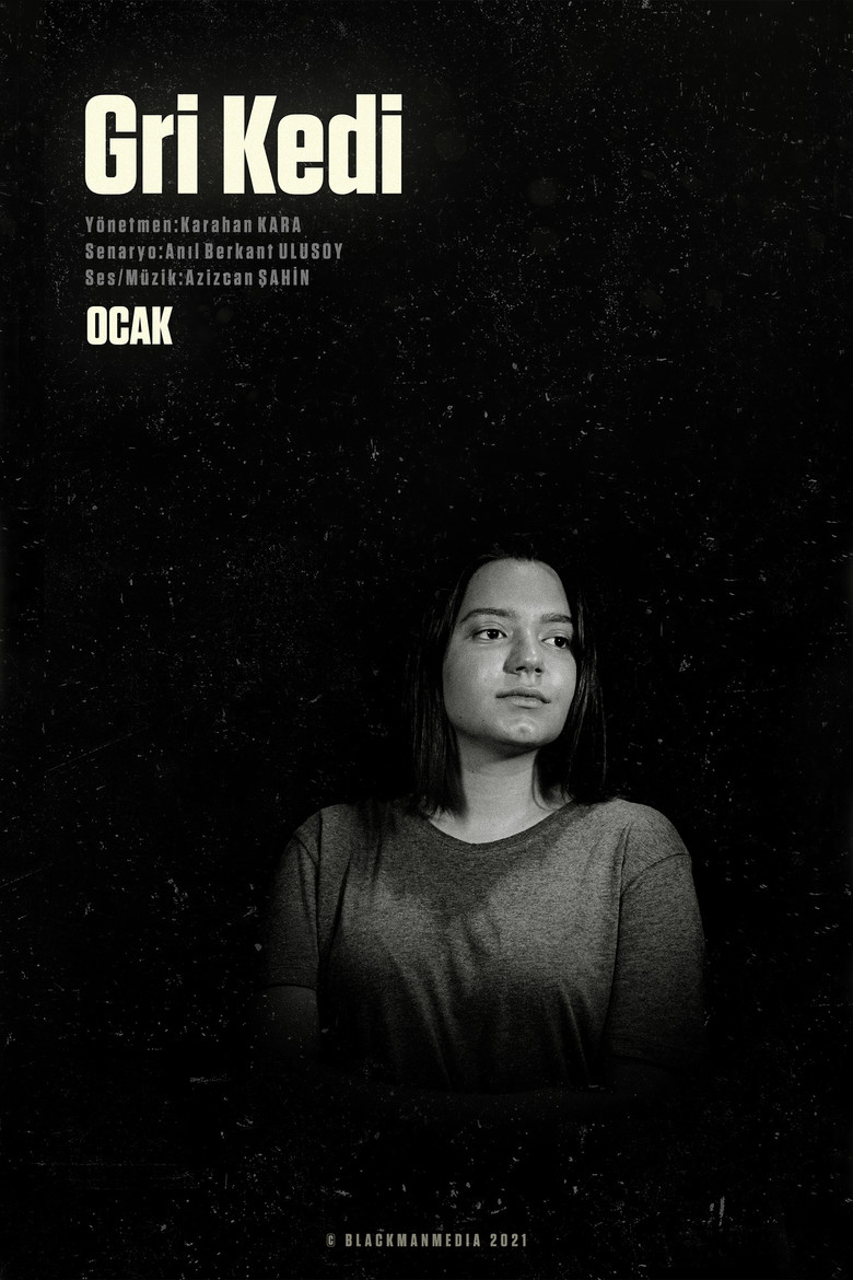 Gri Kedi poster background