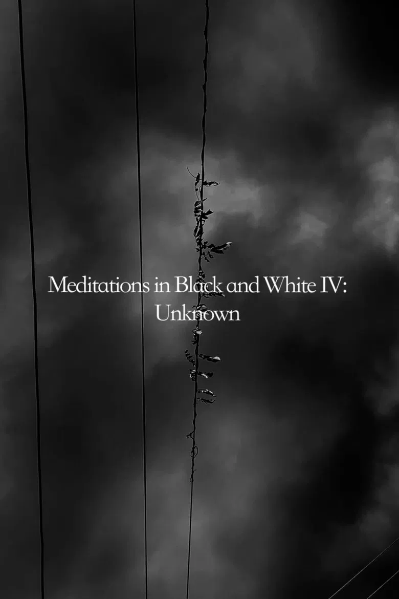 Meditations in Black and White IV: Unknown poster background
