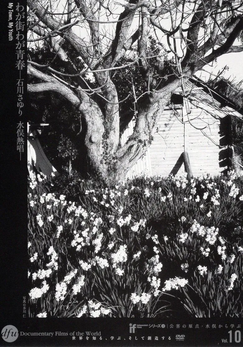 My Town, My Youth poster background