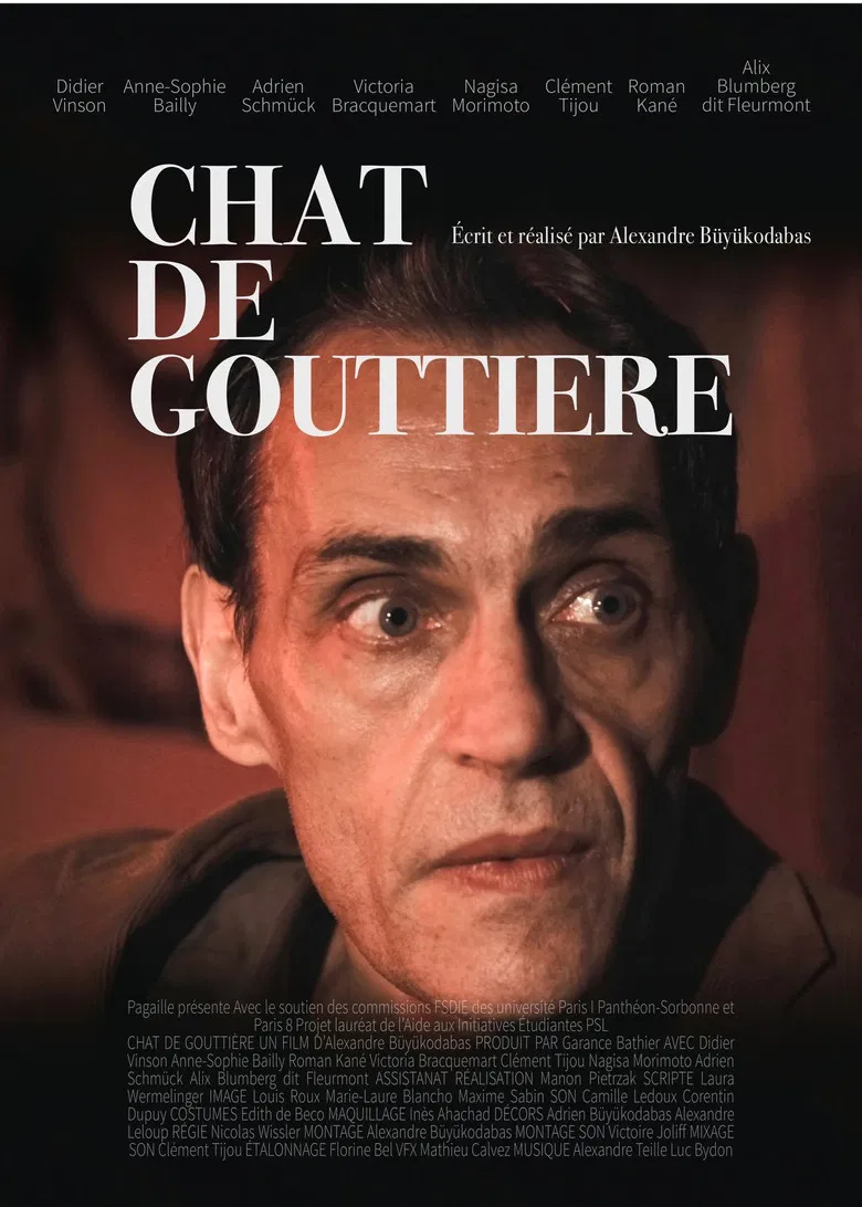 Chat de gouttière poster background