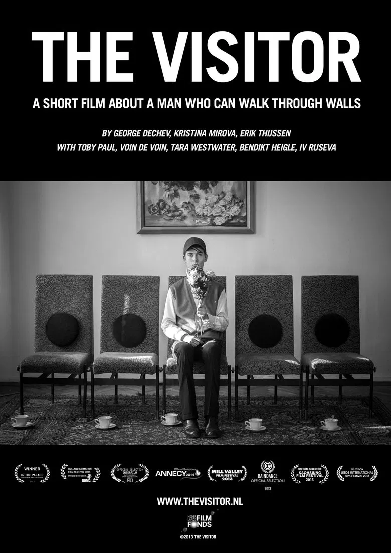 The Visitor poster background