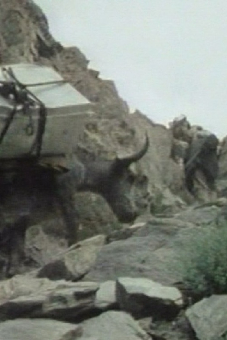 The Kirghiz of Afghanistan poster background