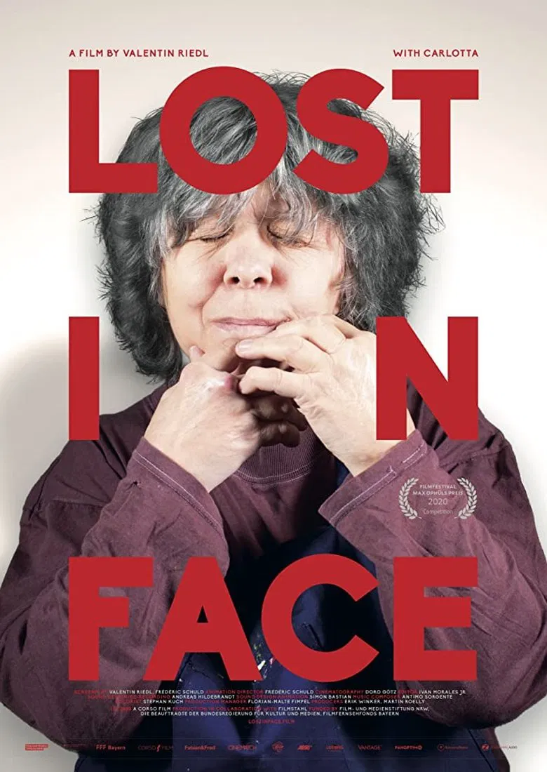 Lost in Face poster background