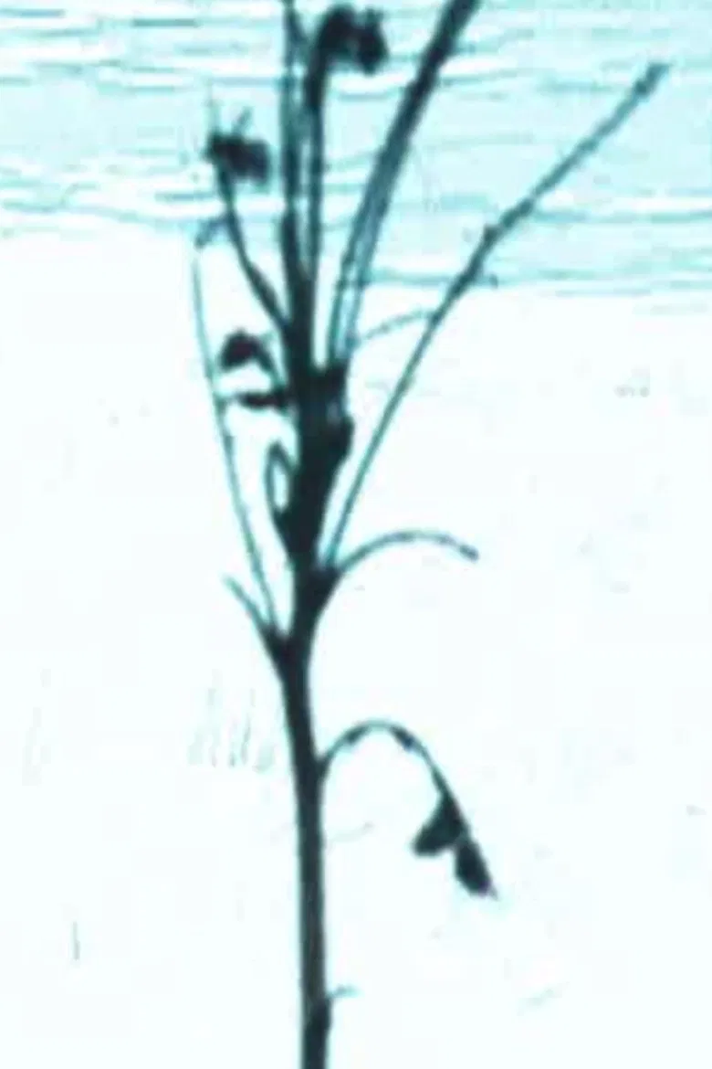 Scene H poster background