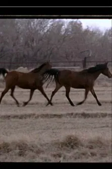 White Sands poster background