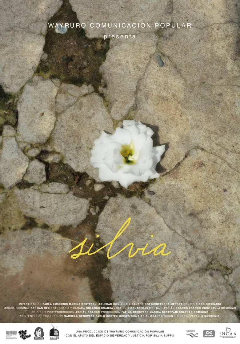 Silvia poster background