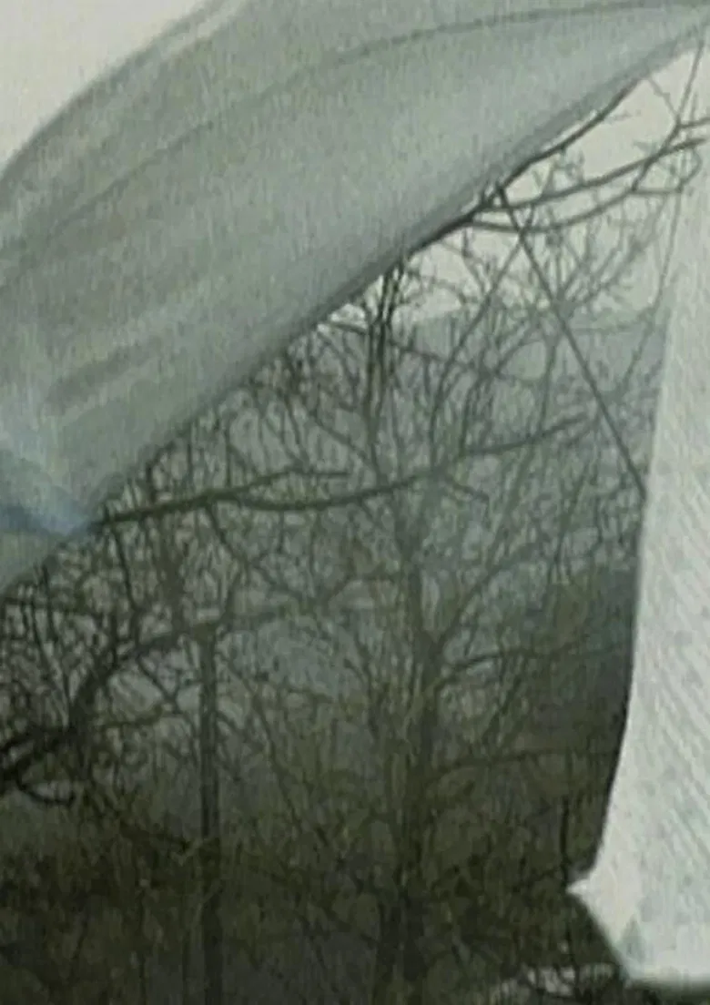 Panni poster background