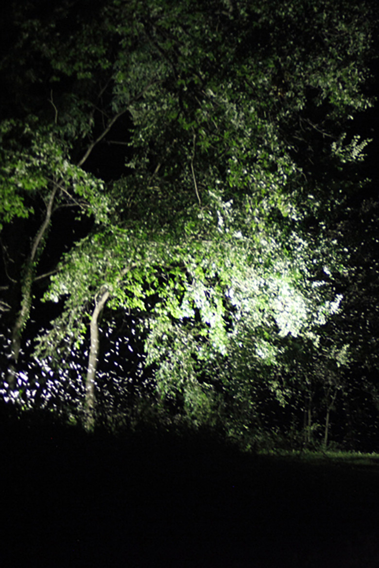 Ephemeres poster background