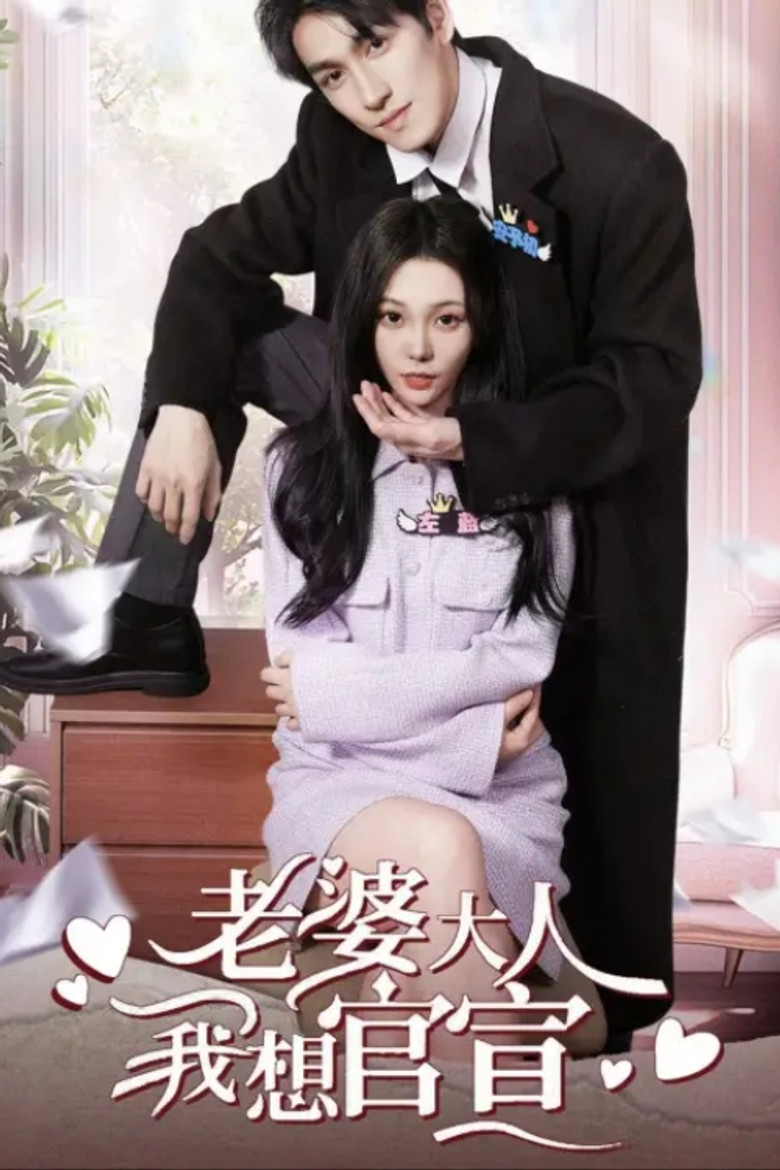 老婆大人我想官宣 poster background