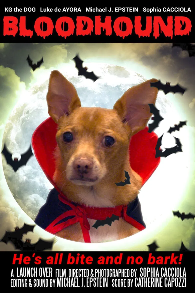 Bloodhound poster background