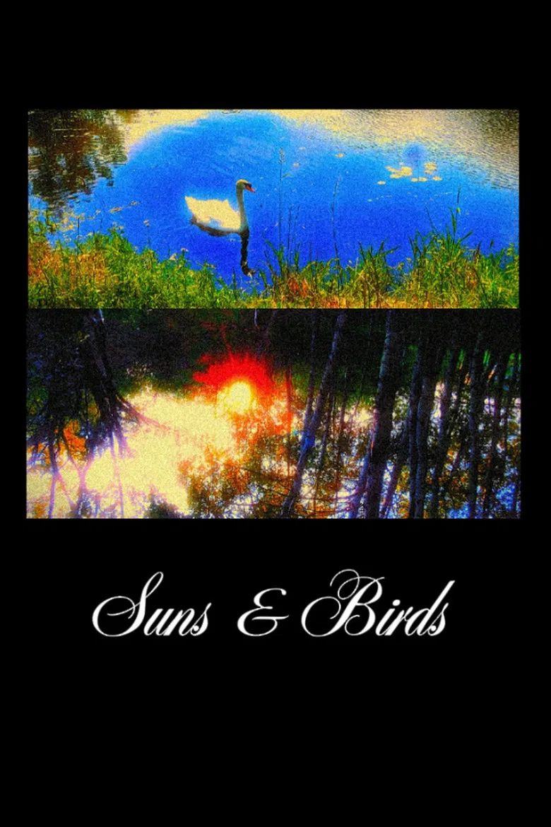 Suns & Birds poster background