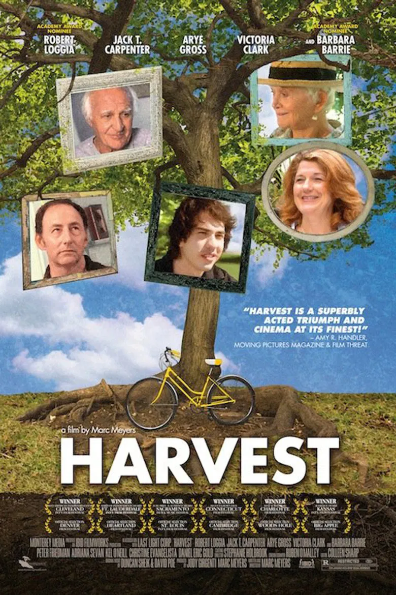 Harvest poster background