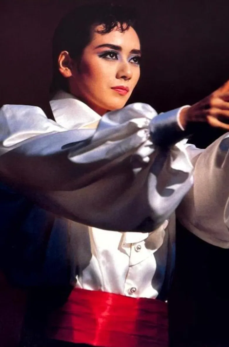 The Red and the Black poster background