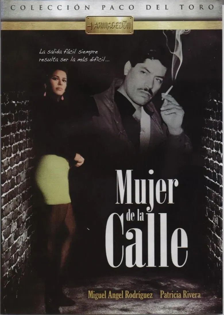 Mujer de la calle poster background