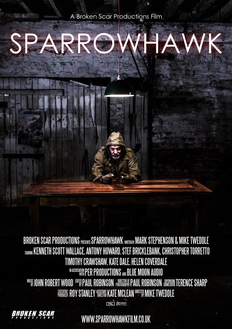 Sparrowhawk poster background
